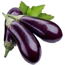BRINJAL BLACK LONG A GRADE 400-500GM