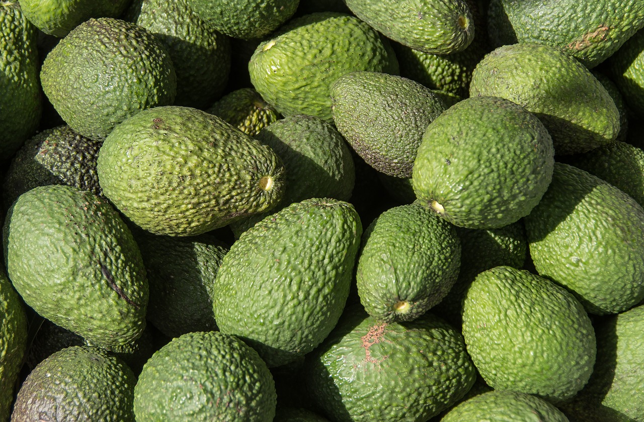 AVO CADO (INDIAN)  500-600GM