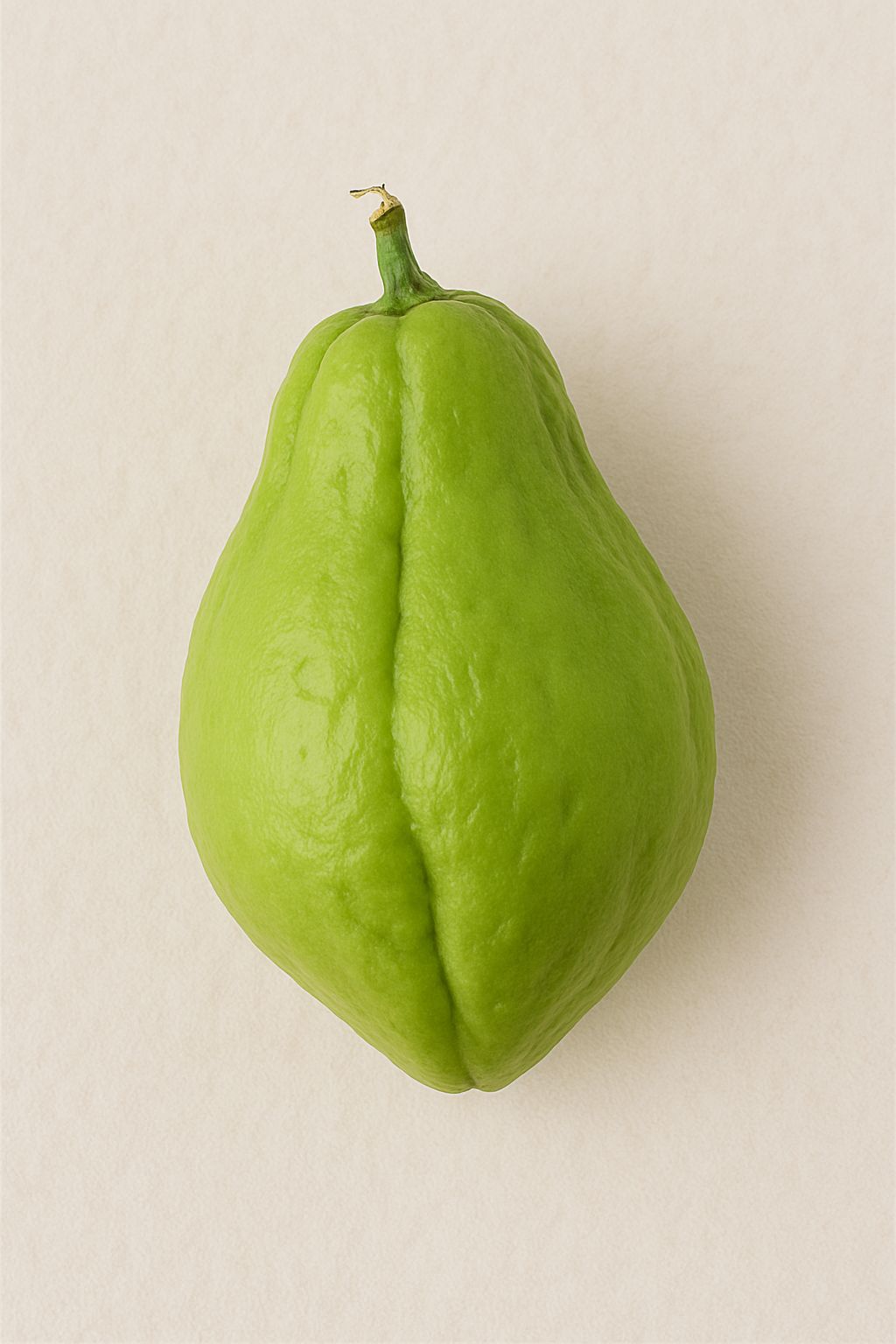 BRINJAL CHU-CHU A GRADE 450-500GM