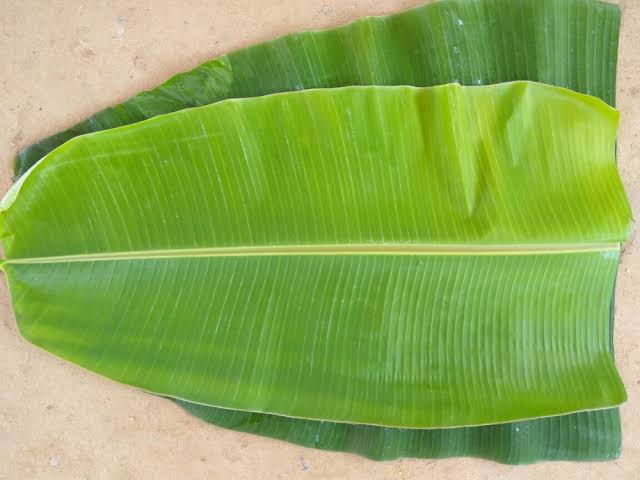 BANANA LEAF 1PCS