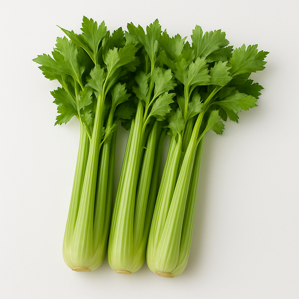 CELERY A GRADE 1PCS