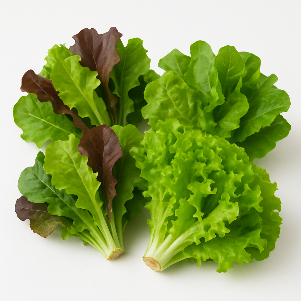 GREEN SALAD A GRADE 250-300 GM